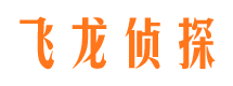 琼结市婚外情调查